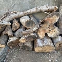 丸太　伐採した木　薪にいかがでしょうか