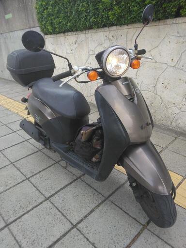 バイク50ccホンダトゥデイ すぐ乗れます