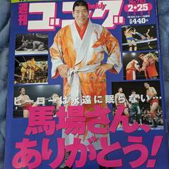 ☆週刊ゴング1999年NO.753　2.25号　美品　