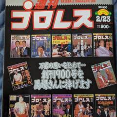 ☆週刊プロレス1999年NO.900　2.23号　中古品・美品　