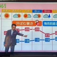東芝 TOSHIBA REGZA 50M520X 2019年製 50型 4K対応液晶テレビ Amazon 