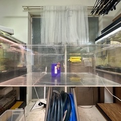 カンテツ製アクリル水槽