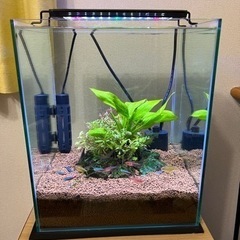 栃木県の水槽セットの中古が安い！激安で譲ります・無料であげます  