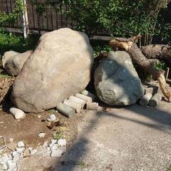 庭石、松の木、ツツジの根