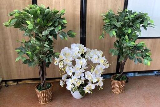 美品　3鉢セット　人工観葉植物 デラックス 立ち木 人工樹木 フェイク グリーン 造花　胡蝶蘭H70　H110㎝×2