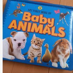 アメリカ　絵本　Baby　ANIMALS