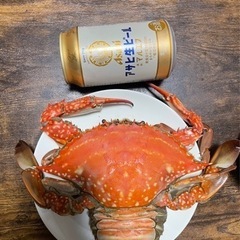 今が旬！ワタリガニ！受付再スタート!!