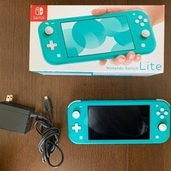 Nintendo Switch lite ニンテンドースイッチライト 動作確認済み 問題