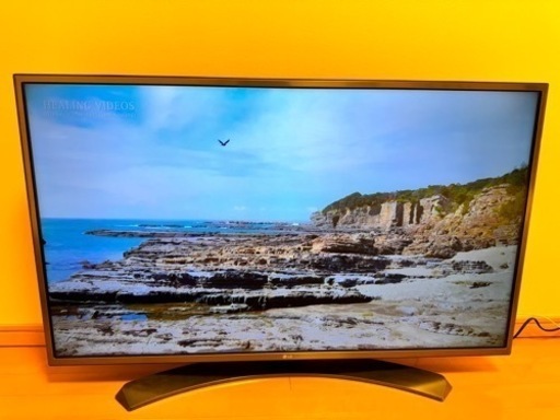 家電 テレビ 液晶テレビ