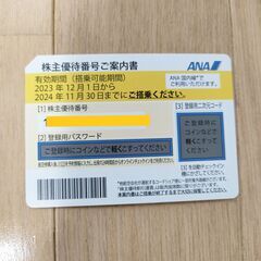【ネット決済】ANA株主優待１枚【2024年11月末期限】