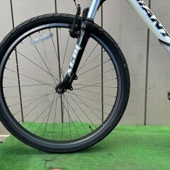 GIANT 51901