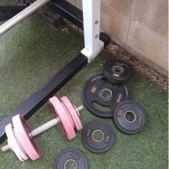 パワーラック、ベンチ、ダンベル、ベンチプレス