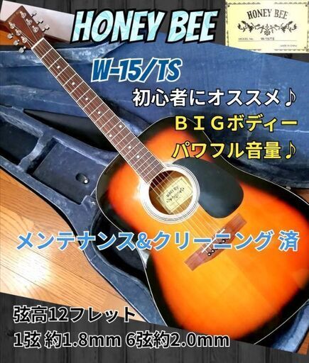 ★初心者オススメ♪★HONEY BEE W15/TS