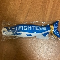 6月14日 ファイターズ対ジャイアンツ戦ペア観戦チケット 通路側すぐ横