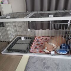 ペティオ　ドッグルームサークル