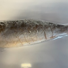 紅鮭半身(10切り)