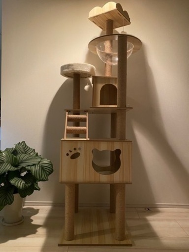 キャットタワー ねこハウス 木製 猫 大型猫 180cm