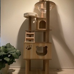 キャットタワー ねこハウス 木製 猫 大型猫 180cm