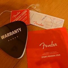 Fender Mexico Meteora BASS