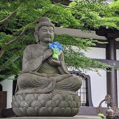 鎌倉寺巡り6月火曜日午後に行きませんか？