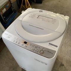  ♦️SHARP 電気洗濯機  【2019年製】ES-GE6C-W  