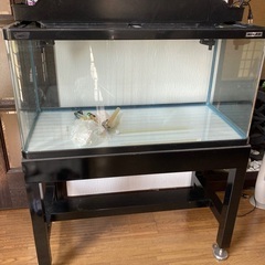 北海道のアクリル水槽の中古が安い！激安で譲ります・無料であげます  