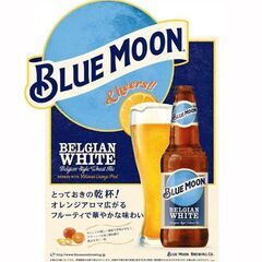 瓶ビール BLUE MOON Bottle 330ml x 24...