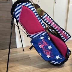 【ネット決済・配送可】キャディーバッグ　
