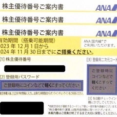 ANA 株主優待券 ３枚 有効期限 2024年11月30日