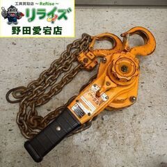 KITO キトー LB025 レバーブロック　2.5t【野田愛宕...
