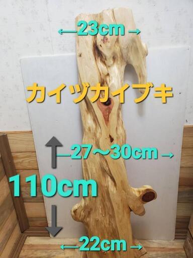 カイヅカイブキ