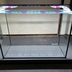 kotobuki 40cm 黒縁 オールガラス水槽 フタ＆マット...