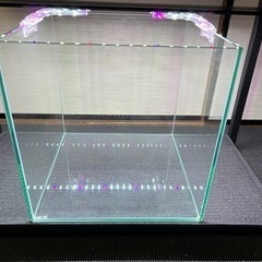 GEX 30cm オールガラス キューブ水槽