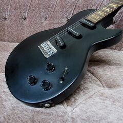 グラスルーツ GrassRoots エレキ レスポール INORAN マットブラック 