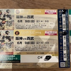 阪神vs西武 プレミアムチケット 6/9（日）