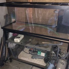 期間限定で値下げしました‼️1200mm水槽