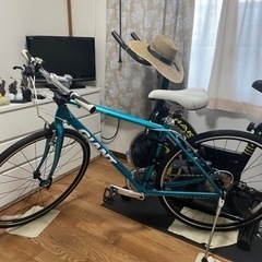 ??? ?GIANT Escape 超軽オールアルミ 美車