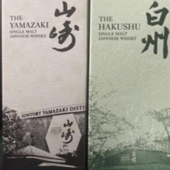 ☆激安 DIYベースにも☆20ftコンテナ(ノーマル)現状渡し