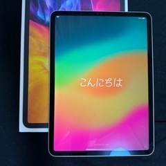 【ネット決済・配送可】Simフリー  iPadPro11インチ第...