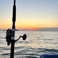 🌅🎣 夕暮れの海釣りタイム 🎣🌅