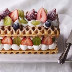 新品未使用品　BRUNO グリルサンドメーカー ダブル＋ワッフルプレート セット レッド