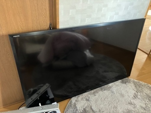 壁掛けテレビ　薄型　60インチ