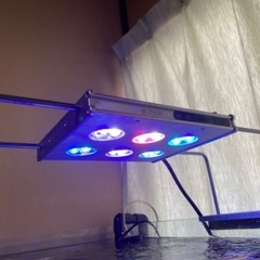 “Sale”熱帯魚水槽セット(30000)