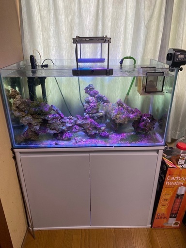 “Sale”熱帯魚水槽セット(30000)