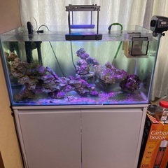 “Sale”熱帯魚水槽セット(30000)