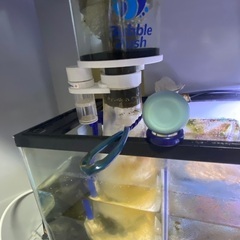 “Sale”熱帯魚水槽セット(30000)