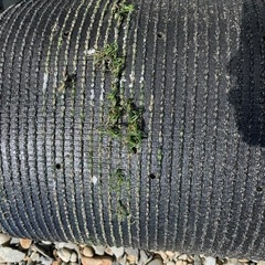 人工芝　メモリーターフ　28mm 　 