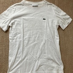 Tシャツ　ラコステ　白　ホワイト　2 XS