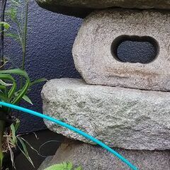 筑波石・天然自然石石灯篭