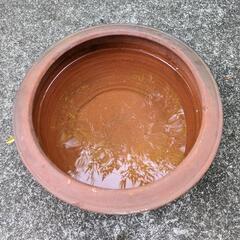 金魚鉢 水槽 メダカ金魚観賞用 水鉢 睡蓮鉢 